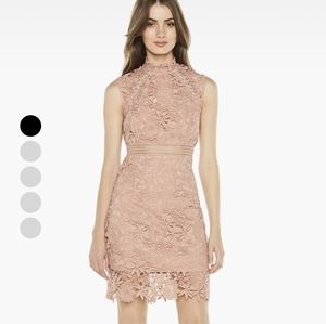 Bardot Paris Lace Dress. In Bloom. Size 4